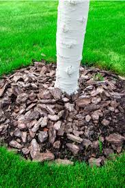 Best Mulch For Flowerbeds And Gardens