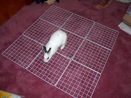 how to build an indoor bunny cage