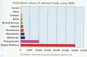 Antioxidant Foods Chart Anti Oxidant Foods Food Charts