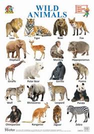 Tricolor Classic Educational Charts Wild Animals
