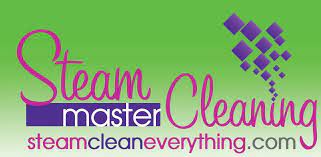 steam master cleaning reviews san