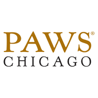 Before you rush into adopting a cat, do realise that having a pet is a big responsibility. Paws Chicago Linkedin