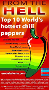 Can You Guess The 10 Hottest Chili Peppers In The World