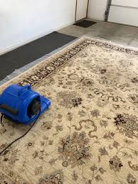 area rugs advanced interior care