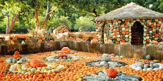 dallas arboretum pumpkin village