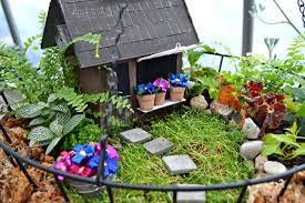 Miniature And Fairy Gardening