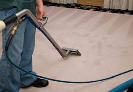 home pristine steam carpet care