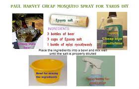 homemade mosquito yard spray is