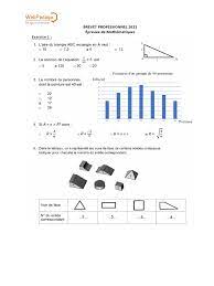 Brevet Pro Maths Corrige | PDF