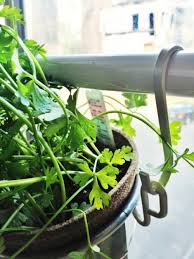 Small Diy Home Garden On Your Window