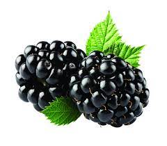 Download Blackberry PNG Image for Free