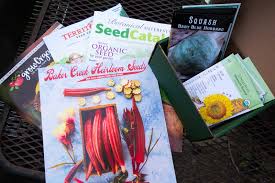 2021 Seed Catalog Reviews Sf Bay
