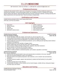 1 Certified Nursing Assistant Resume Templates Try Them Now