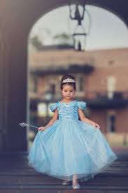 > long sleeve cotton toddler girls dresses boutique. Princess Dress Blue Princess Wedding Dresses And Dress Up For Toddlers