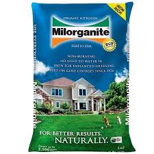 best fertilizer for st augustine gr