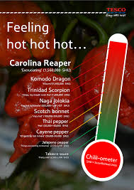 Worlds Hottest Chilli Pepper To Go On Sale At Tesco Tesco Plc