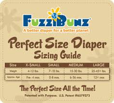Fuzzibunz Perfect Size Diaper Review One Of The Best