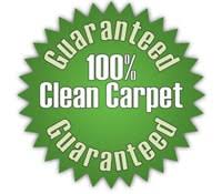 kiwi carpet cleaning reviews atlanta