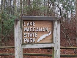 Image result for free images of , Lake Waccamaw, NC.