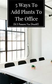 5 Benefits Of Plants In The Office 5