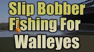 slip bobber fishing walleye with live