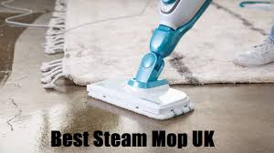 top 5 best steam mop for vinyl floors