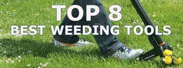 8 Best Weeding Tools I Use As A