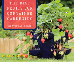 The Best Fruits For Container Gardening