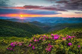 craggy gardens spring rhododendron sunset