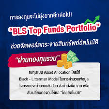 ตัวช่วยจัดพอร์ต!! “BLS Top Funds Portfolio” Auto Asset Allocation - Salary  Investor