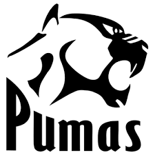 lions rugby logo transpa png stickpng