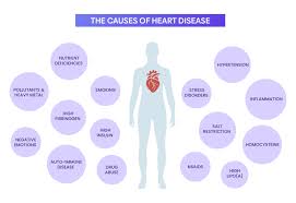 heart diseases peak metabolism