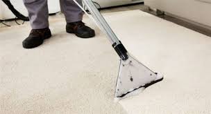 Other collections of carpet cleaning clearwater fl. T49rd Bgm Hmam