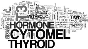 And, i don't want to alarm you here but cytomel can actually make hair loss worse. Cytomel History Medical Use Dosage Side Effects And More Thyroid Advisor