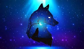 Browse millions of popular animal wallpapers. Cool Blue Wolf Wallpapers Wolf Wallpapers Pro