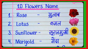 10 flowers name hindi and english