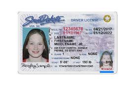renew drivers license north dakota
