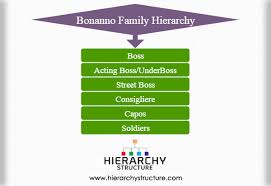 Lucchese Family Hierarchy Hierarchystructure Com