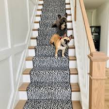 carpet replacement in richmond va
