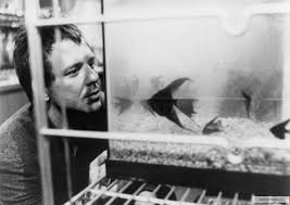 rumble fish actors movies mickey rourke francis ford coppola rumble fish