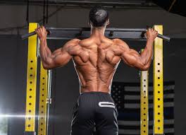 back and biceps day a complete guide
