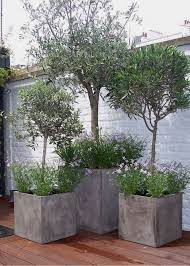 34 tall garden troughs to tickle your