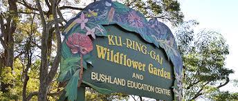 Ku Ring Gai Wildflower Garden