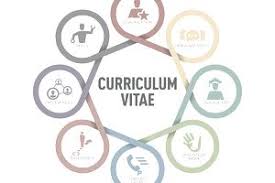 Curriculum Vitae Cv Template