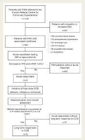 Flow Chart Of Patients With Pulmonary Arterial Hypertension