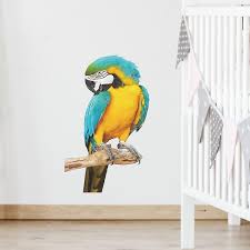 Cute Little Parrot Wall Sticker Bird