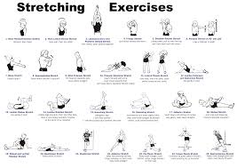 Whole Body Stretching Routine Sports Science Co