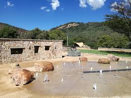 the walter sisulu botanical garden