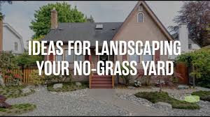 landscaping your no gr yard