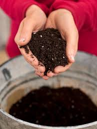 Potting Soil With Garden Soil